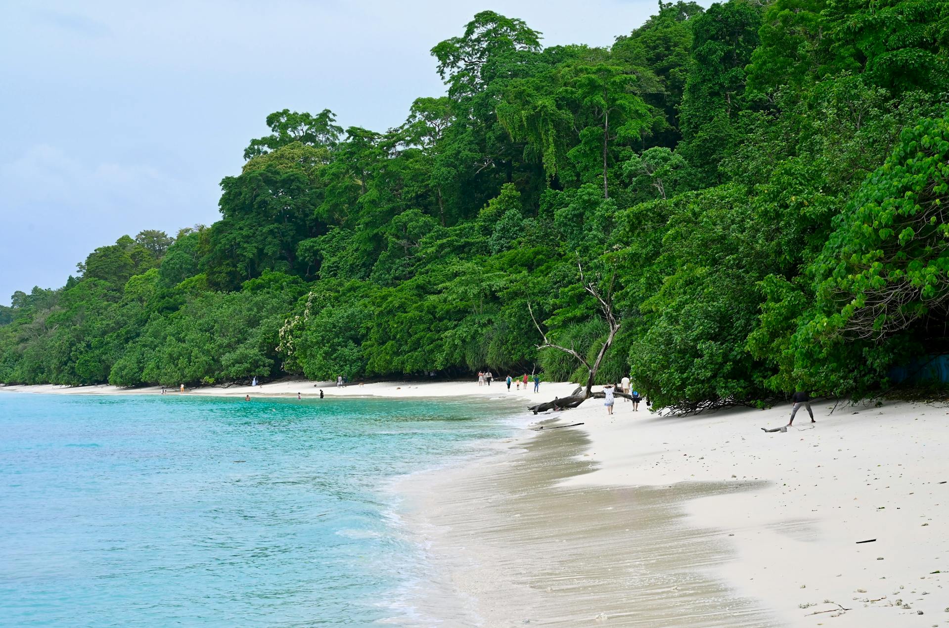 Best beach destinations in India 2026 — Andaman Radhanagar Beach